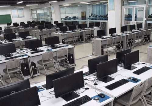 小程序，大幫手 軟件技術開發如何賦能現代生活